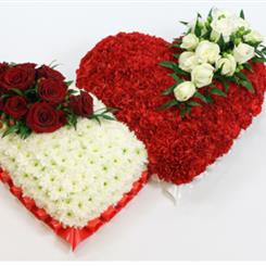 Based Double Heart with Carnations 