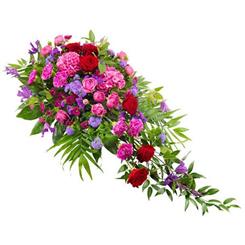 Red and Purple Single Ended Spray