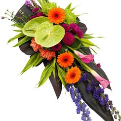 Vibrant Single Ended Spray