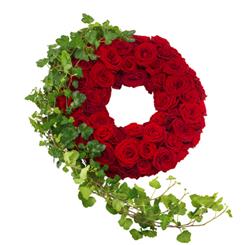 Red Rose and Ivy Wreath