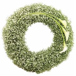Gypsophila Wreath 