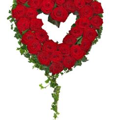 Rose Open Heart 