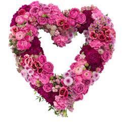 Massed Open Heart