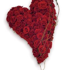 Swinging Rose Heart