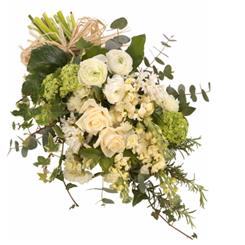 Natural Tied Sheaf