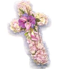 Hydrangea Based Cross