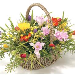 Freesia Basket