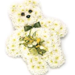 Teddy Bear 