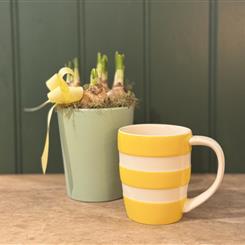 Cornishware Gift Set