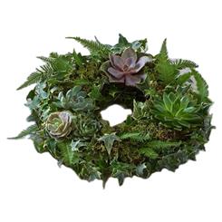 Succulent Wreath