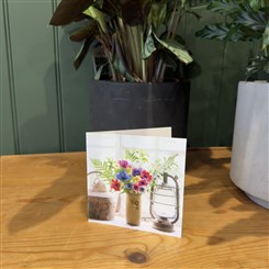 Anemones