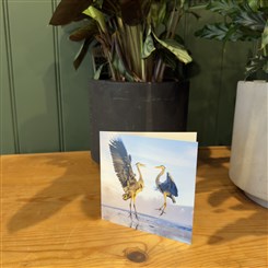 Heron