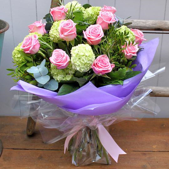 Pkp Roses Perfectly Pink