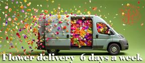 flower-delivery-bodmin-cornwall-same-day