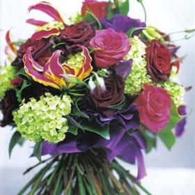 fwthumb32909_2444703.jpg