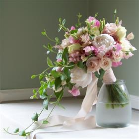 fwthumb32909_2444734.jpg