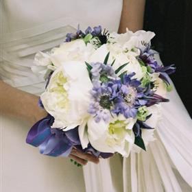fwthumb32909_2444735.jpg