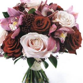 fwthumb32909_2444790.jpg