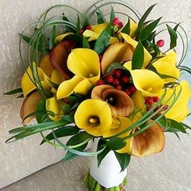 fwthumb32909_2444795.jpg