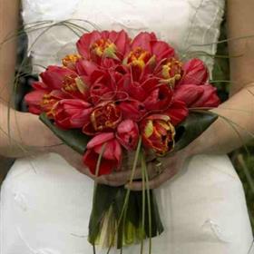 fwthumb32909_2444799.jpg